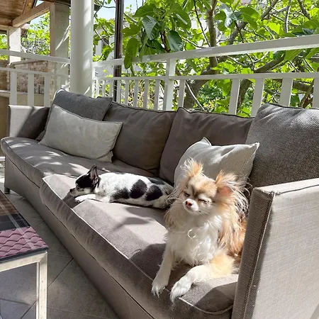 Апартаменты Anesa - Mit Privatterrasse, Laube Und Grill Sowie Grosse Poolarea *